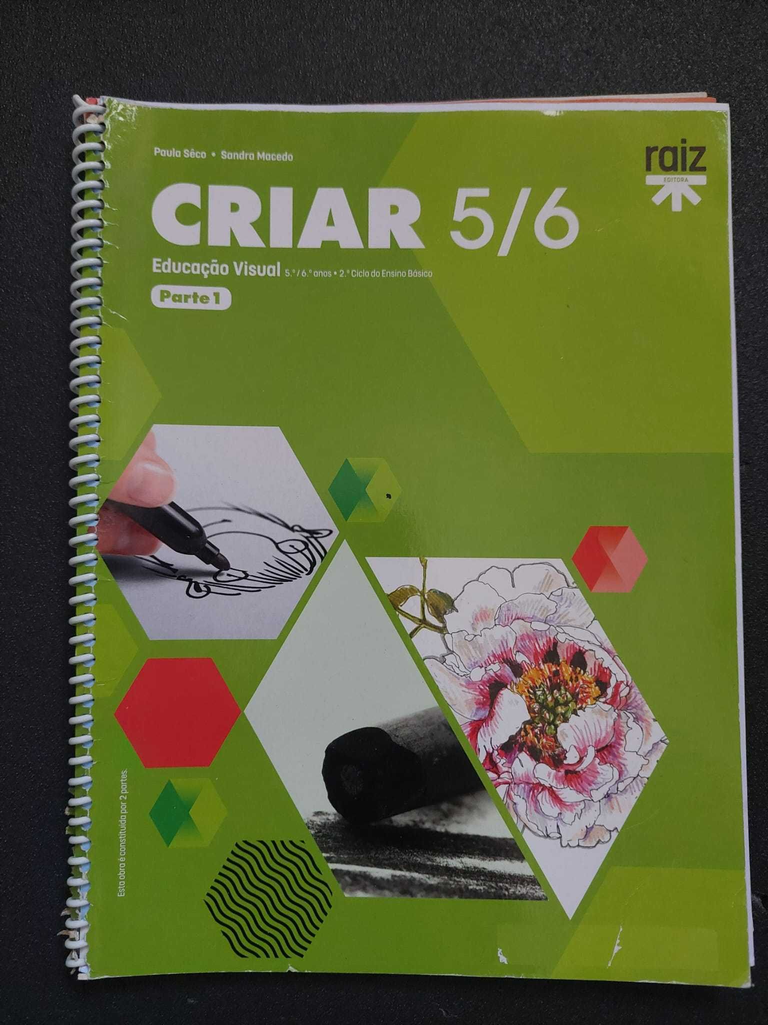 Manuais de Educação VIsual 5º e 6º anos