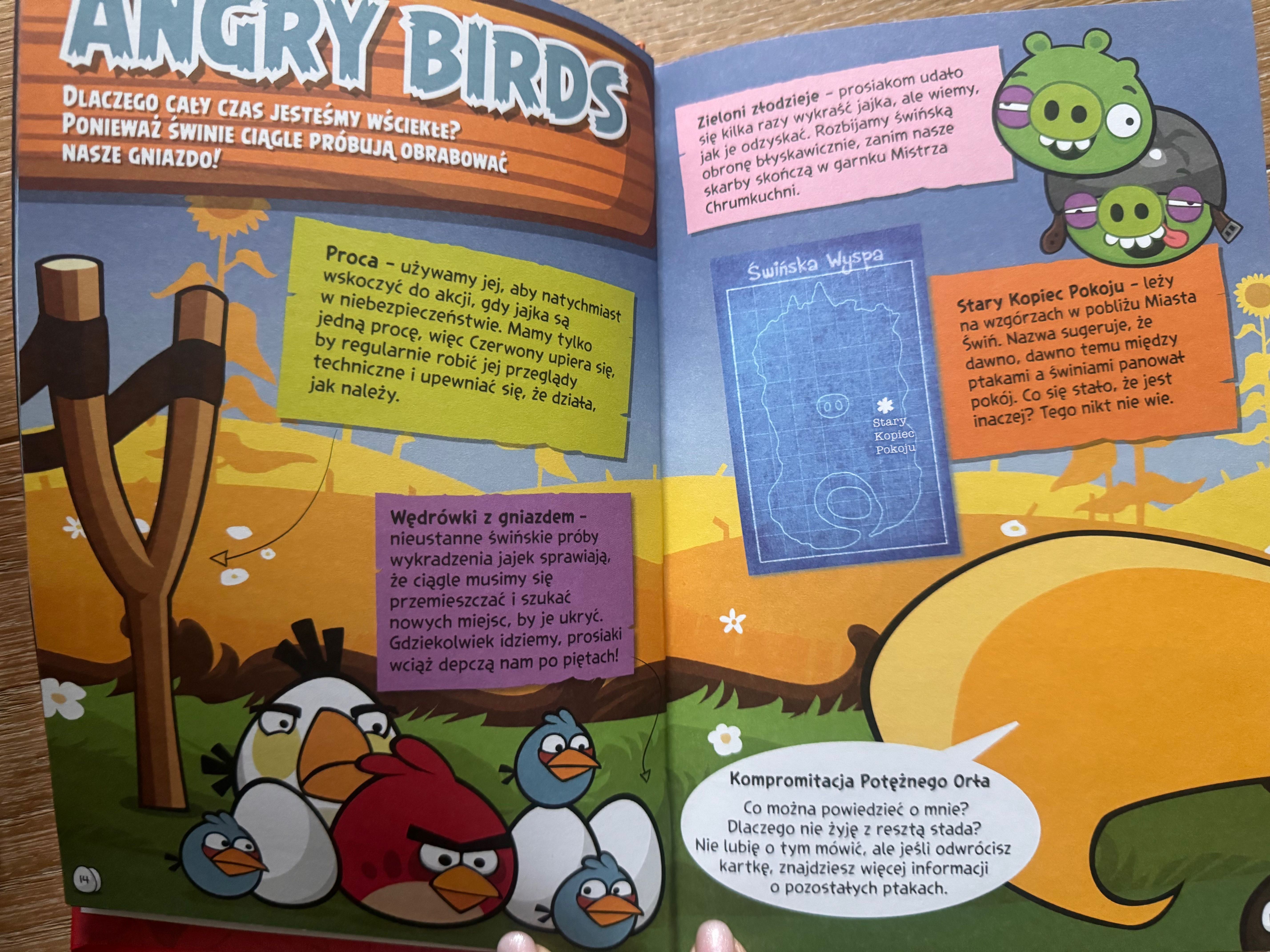 ANGRY BIRDS Oficjalny przewodnik