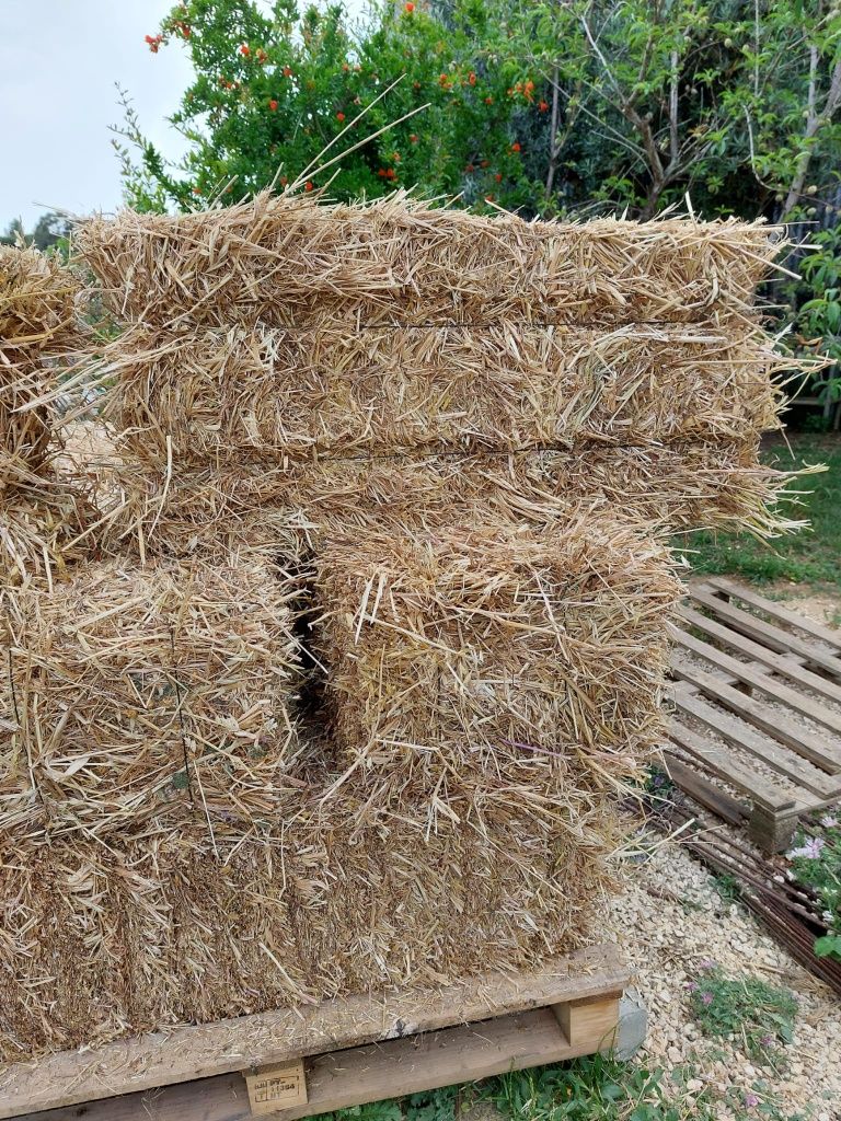 Fardos de Palha Recentes