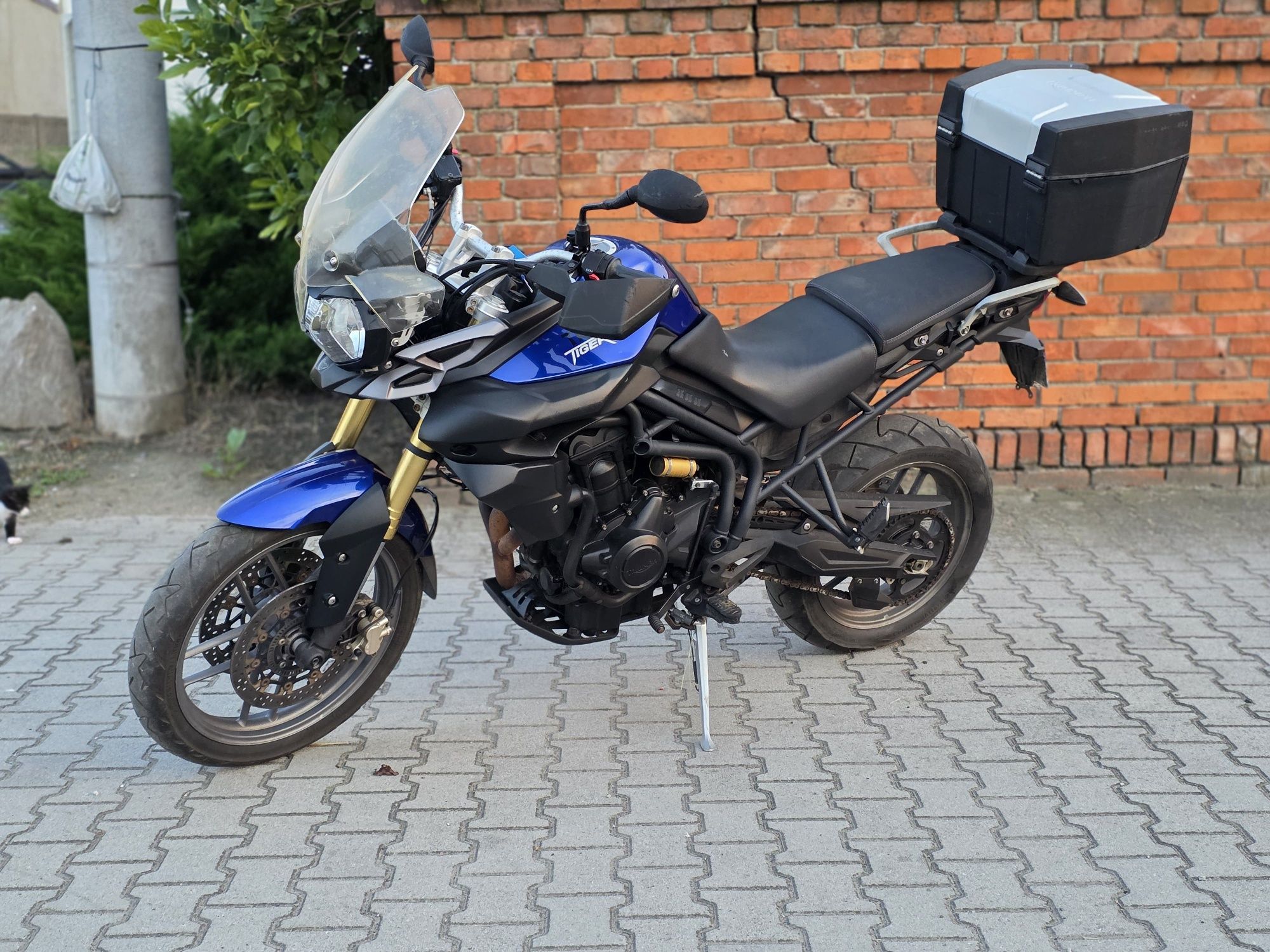 Triumph tiger 800