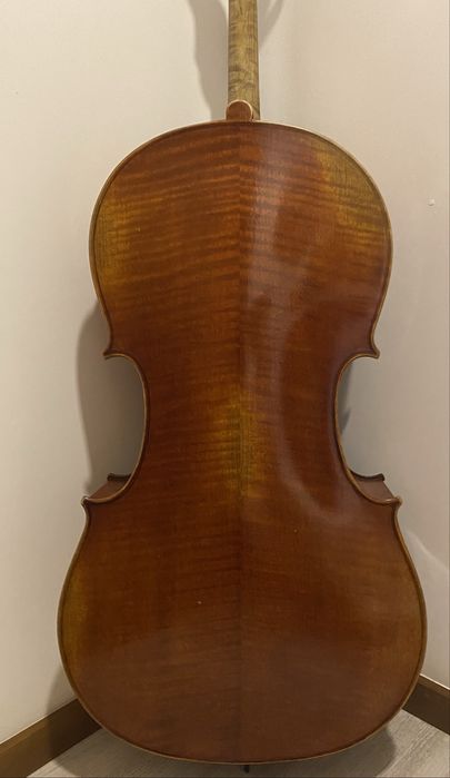 Violoncelo 4/4 “Sasha & Vieira”