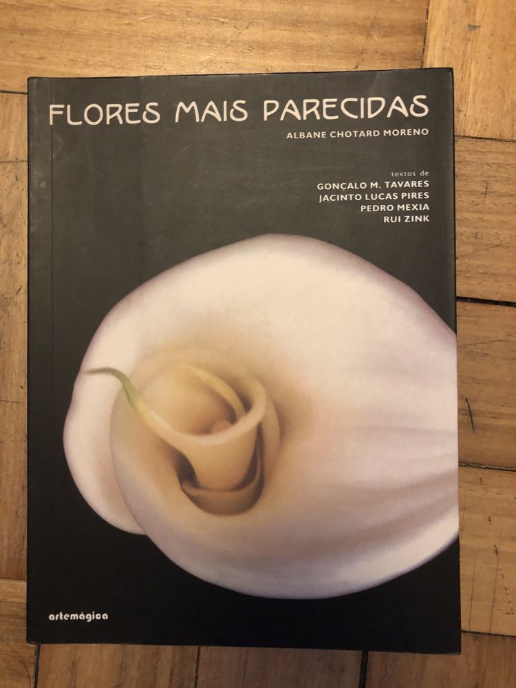 Flores mais parecidas