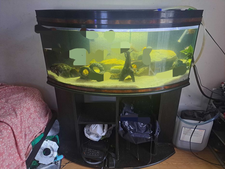 Aquario 200 litros