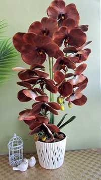 Латексна орхідея ( штучна)