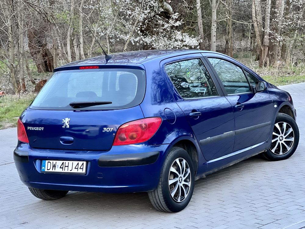 Peugeot 307 1.6 Benzyna 2004 Rok