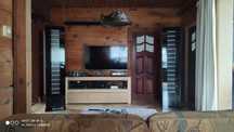 Audiostatic es300 rs