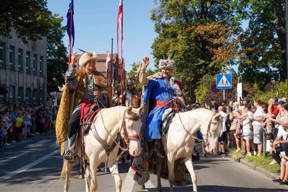 CAMINO - wysoko źrebna klacz AQH import Ohio/ koń dla dziecka