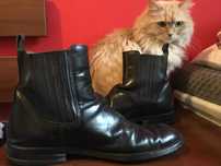 Sztyblety skóra - buty do jazdy