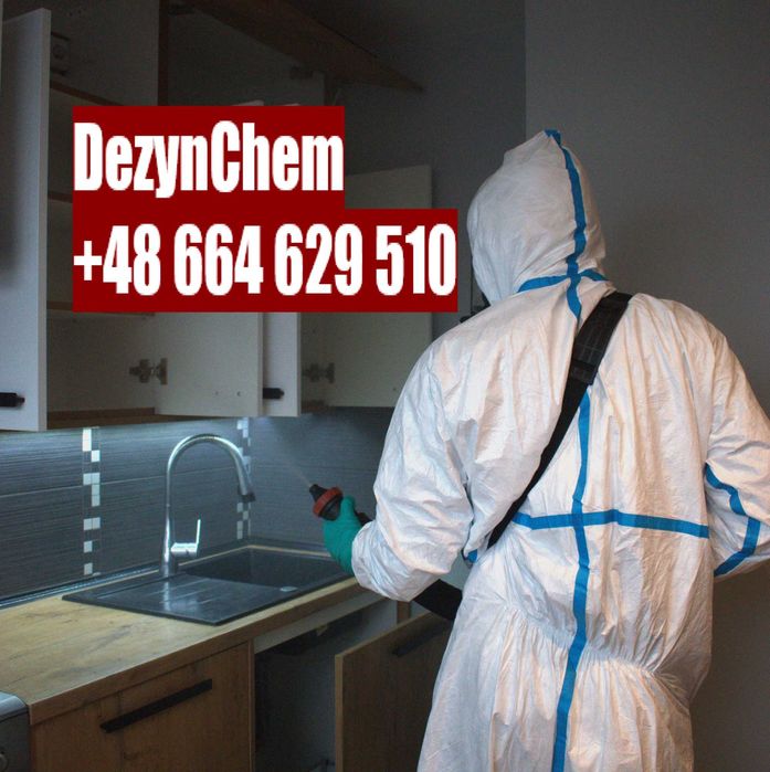 DEZYNSEKCJA usuwanie pluskiew/karaluchów/rybików ODPLUSKWIANIE