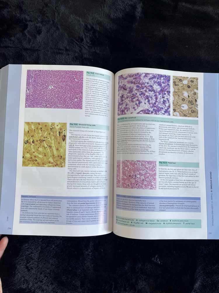 wheater's functional histology