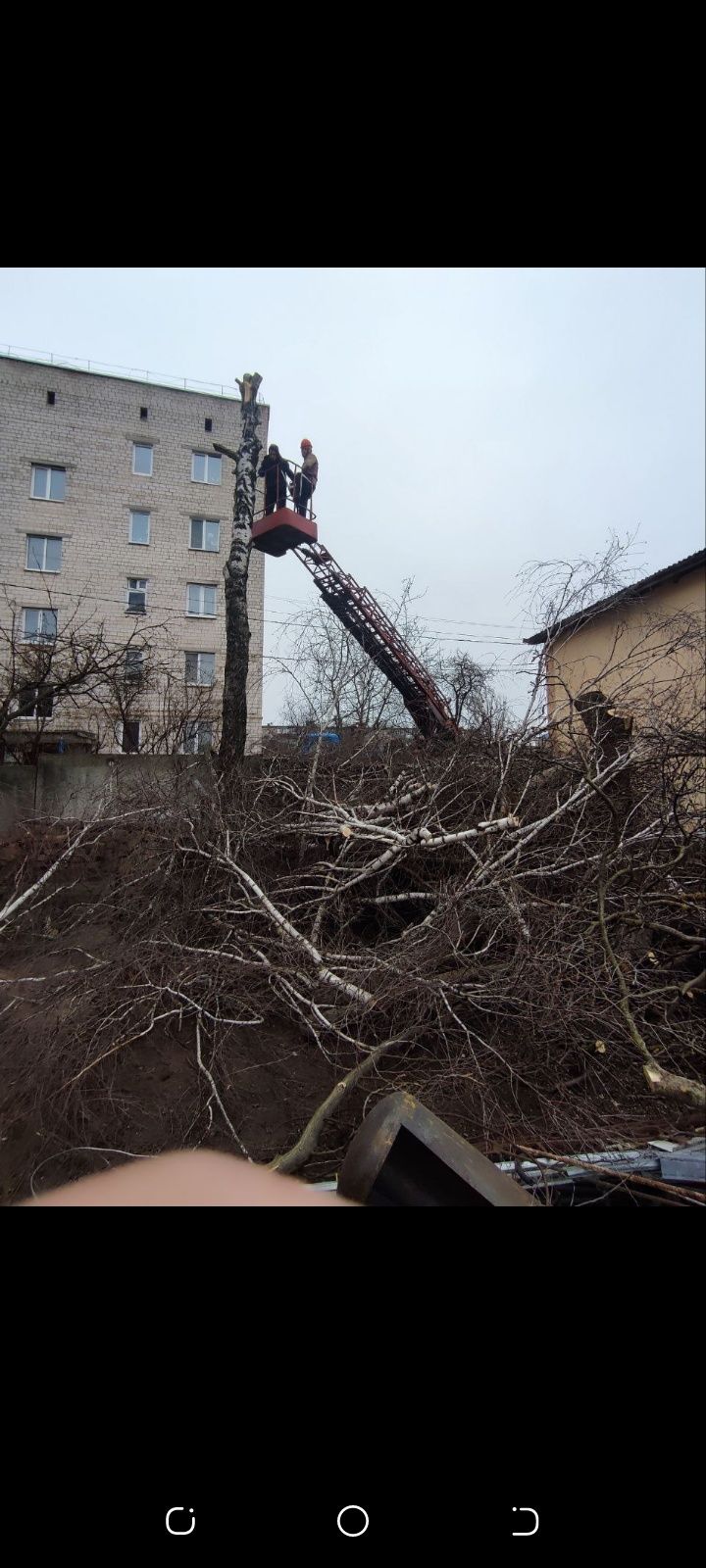 Спил деревьев лубой сложности..