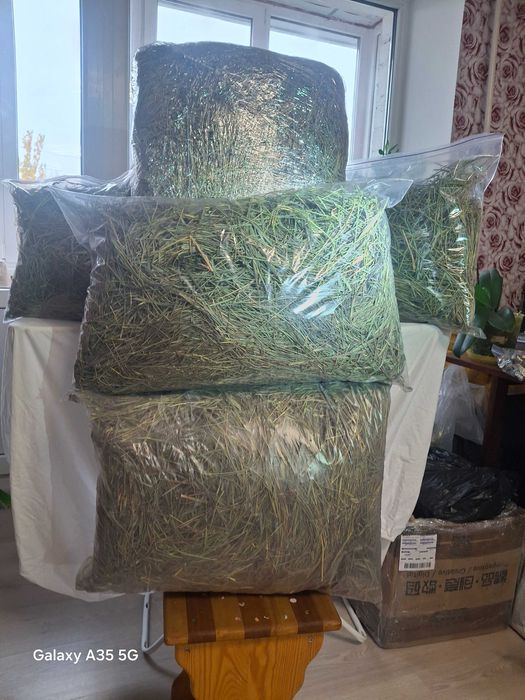 Сіно зелене для гризунів та тварин