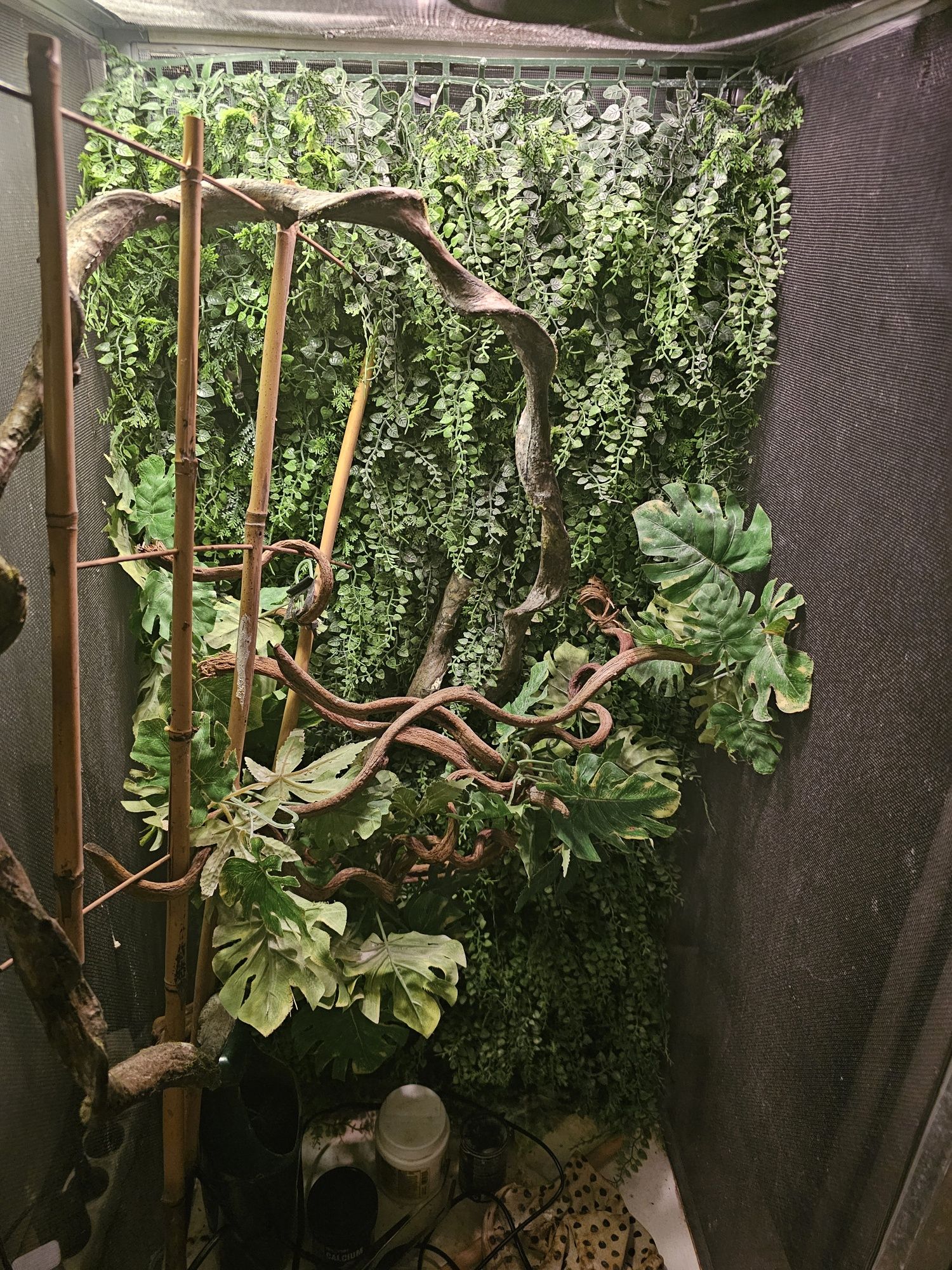 Terrarium kameleon 100x50x50cm