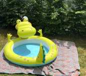 Piscina forma crocodilo