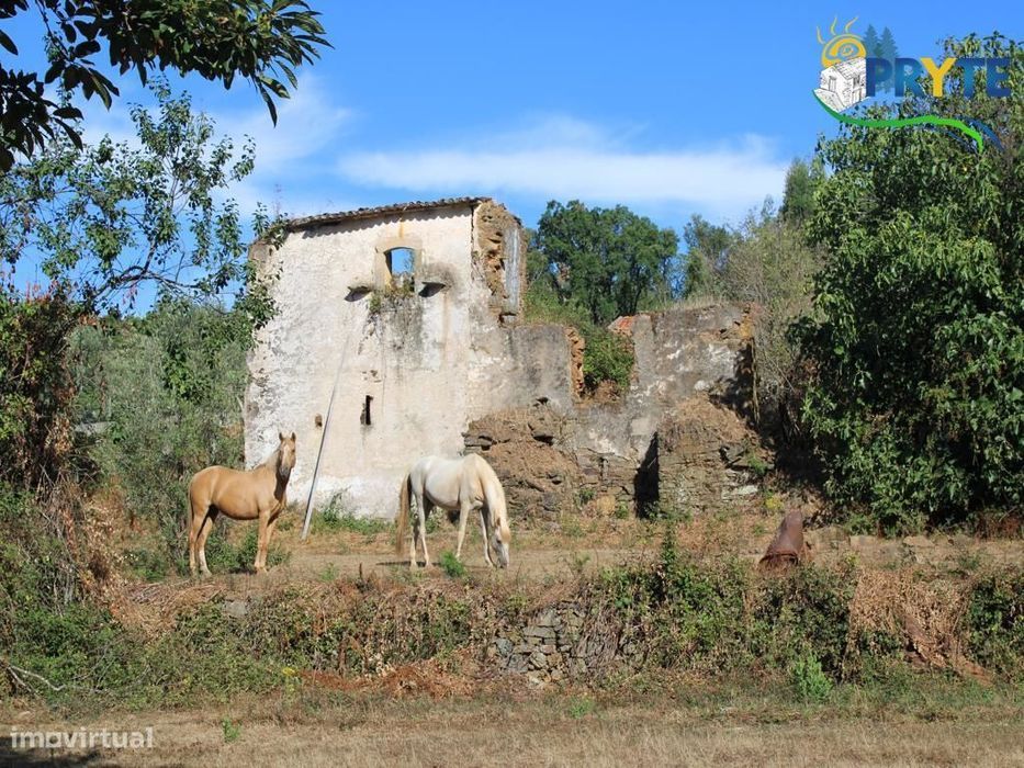 Quinta situada em Pedrógão Grande