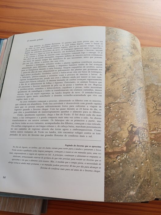 Livrk O Planeta Vivo