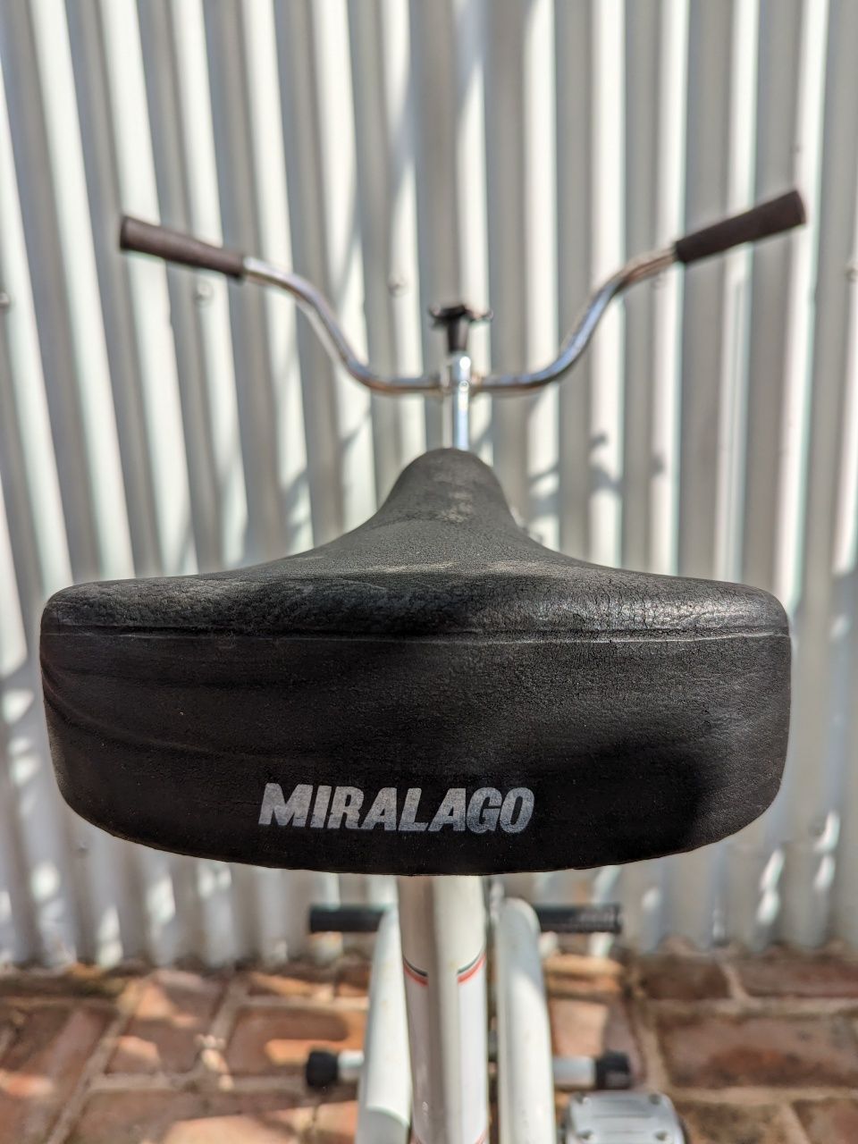 Bicicleta estática vintage Miralago Águeda