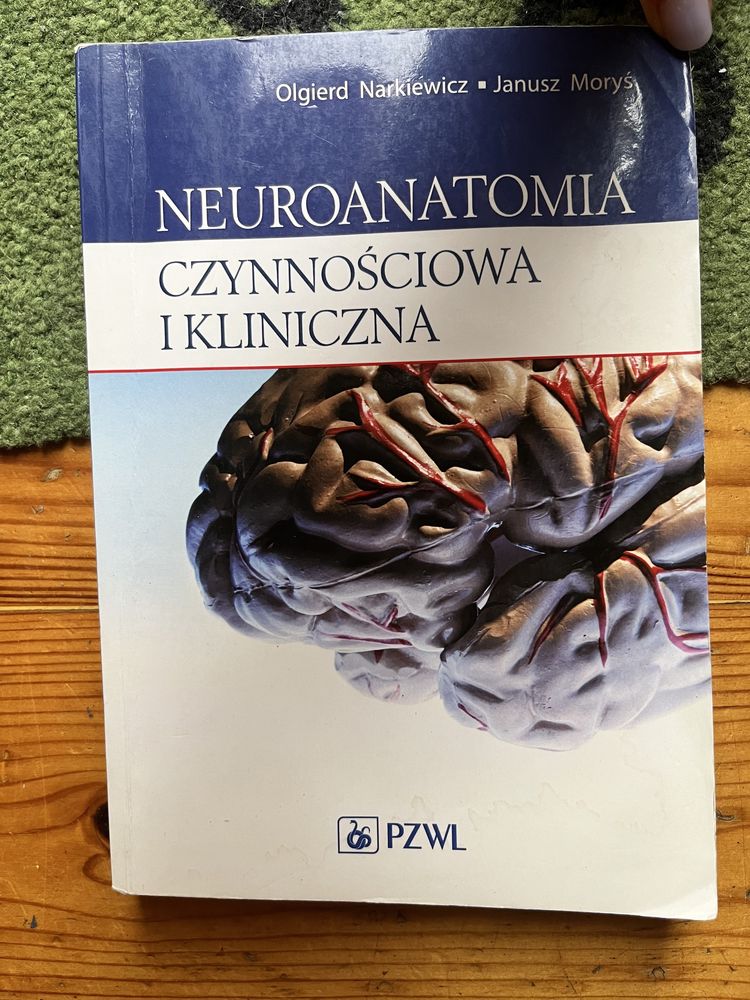 Neuroanatomia czynnościowa i kliniczna