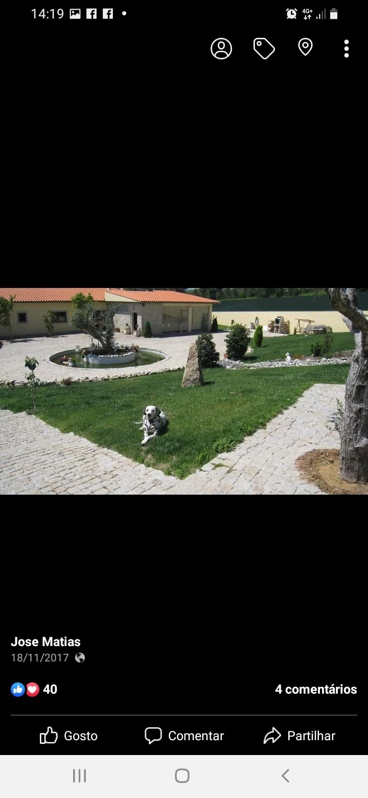 Vendo quinta a  10 minutos do centro da cidade de viseu com casa