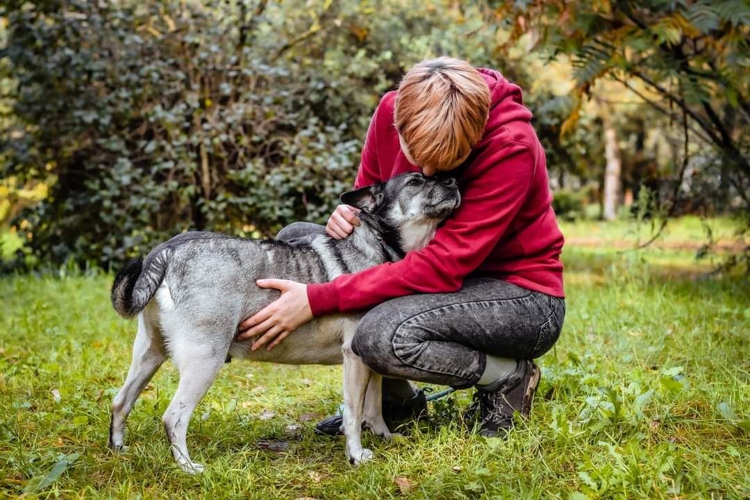 Kleks już tak długi czeka na swój dom... Czy ktoś go wreszcie pokocha?