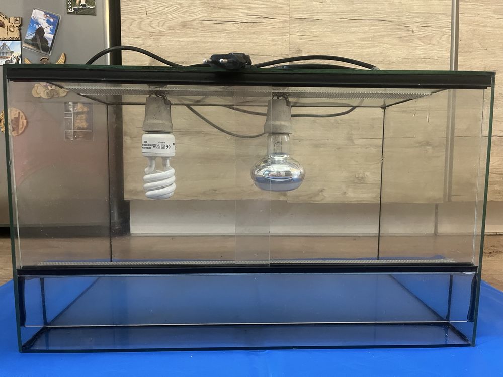 Terrarium dla żółwia lądowego