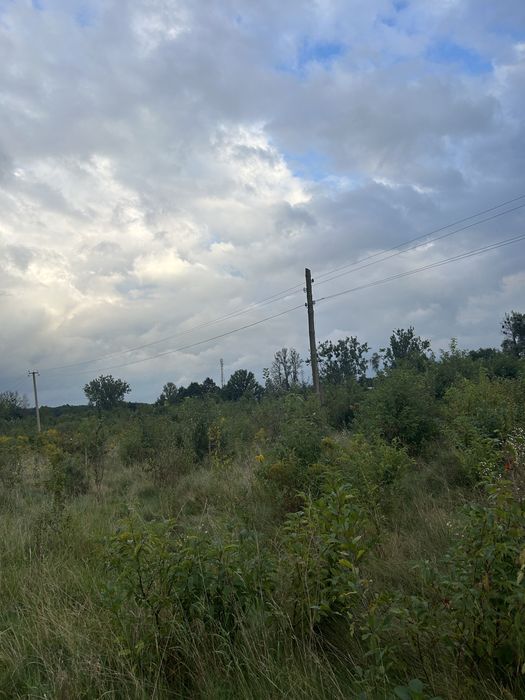 Продаж земельної ділянки в с.Суховоля