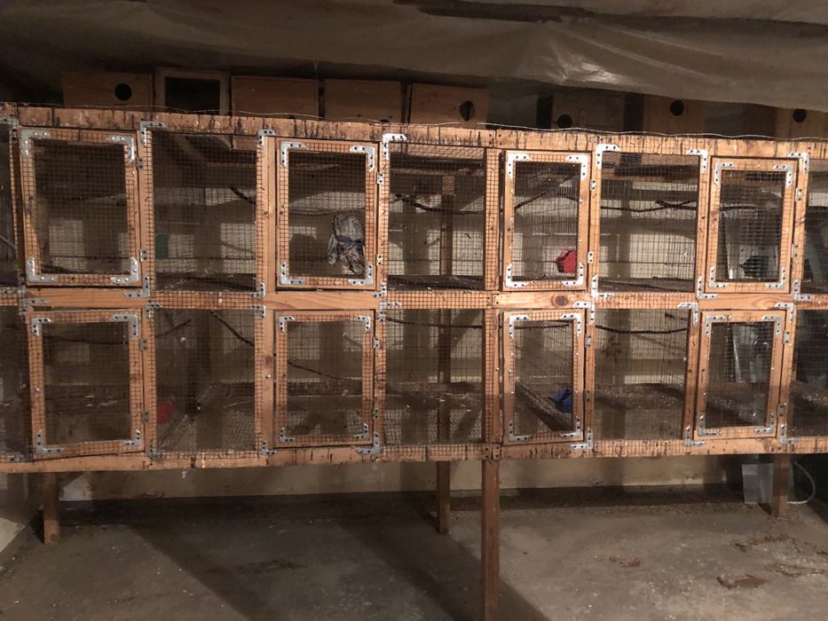 Продаю клітки для птиці