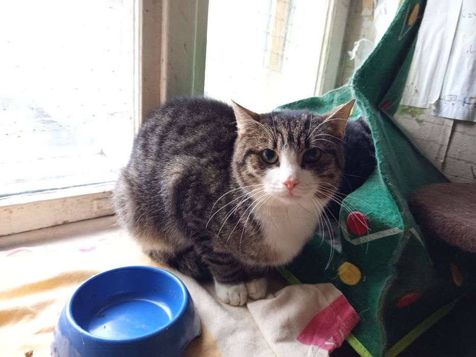 Migdał szuka swojego człowieka