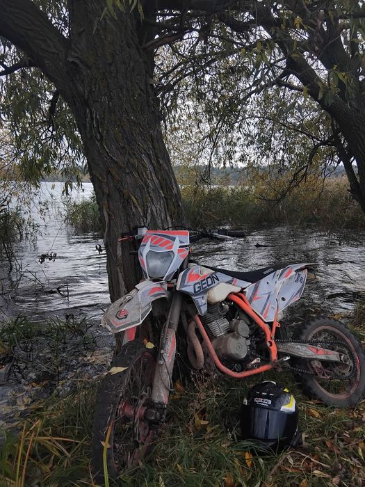 Продам GEON TERRX 250 PRO 2019