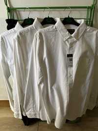 Camisas Primark M algodão