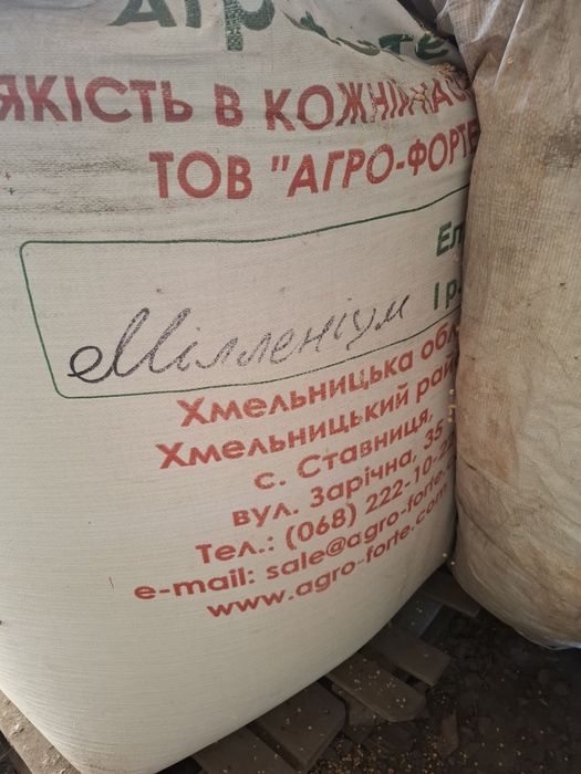 Продам сою сорту мілленіум