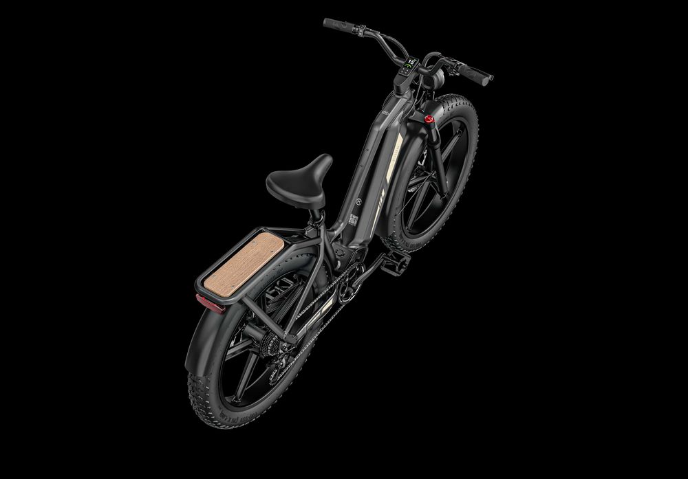 Bicicleta Elétrica Fiido Titan - 2025