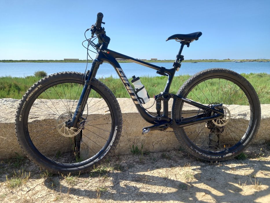 Giant anthem advanced pro 29 1