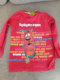 Bluzka Scooby-Doo rozm 104