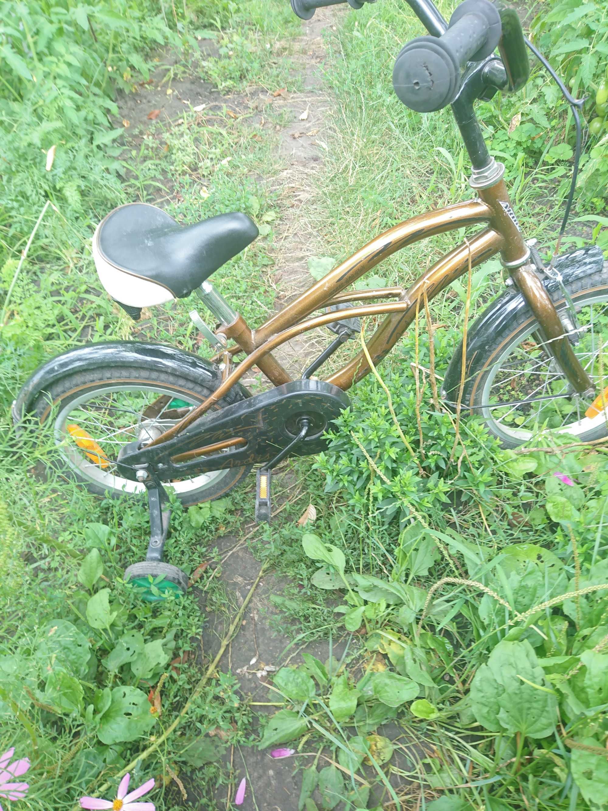Велосипед детский Ardis Cruise