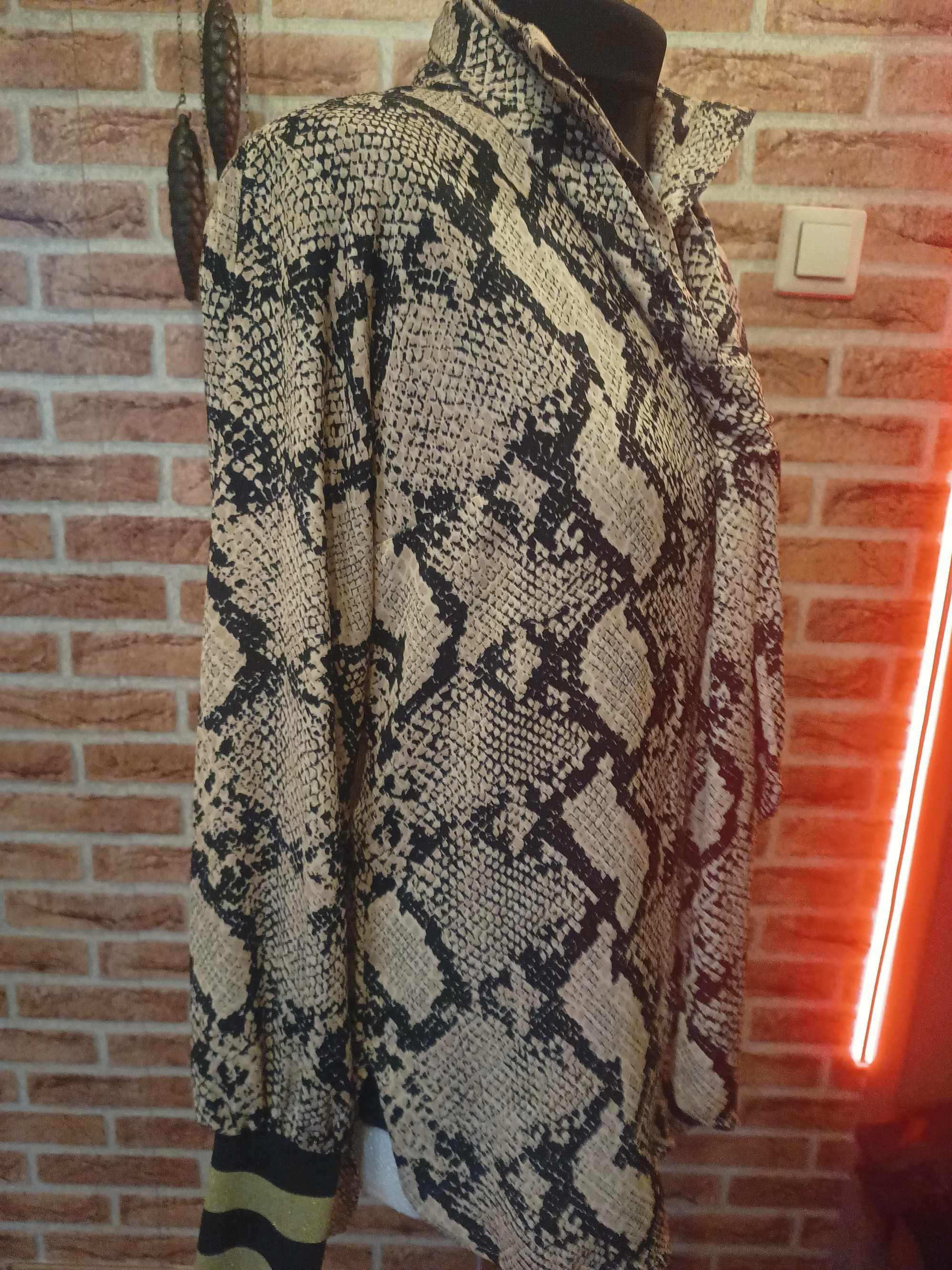 Elegancka koszula z krawatem
