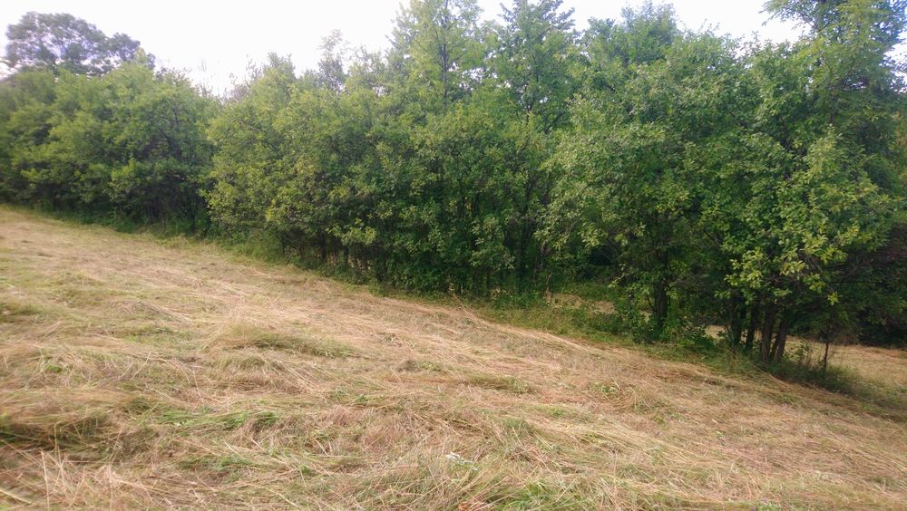 Sprzedam działkę budowlano rolną w górach, Świdnik