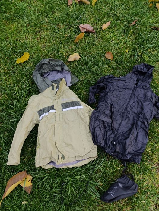 Длщовики в садочок.