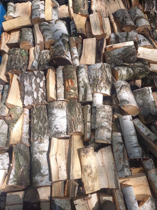 Drewno kominkowe i opałowe niskie ceny.