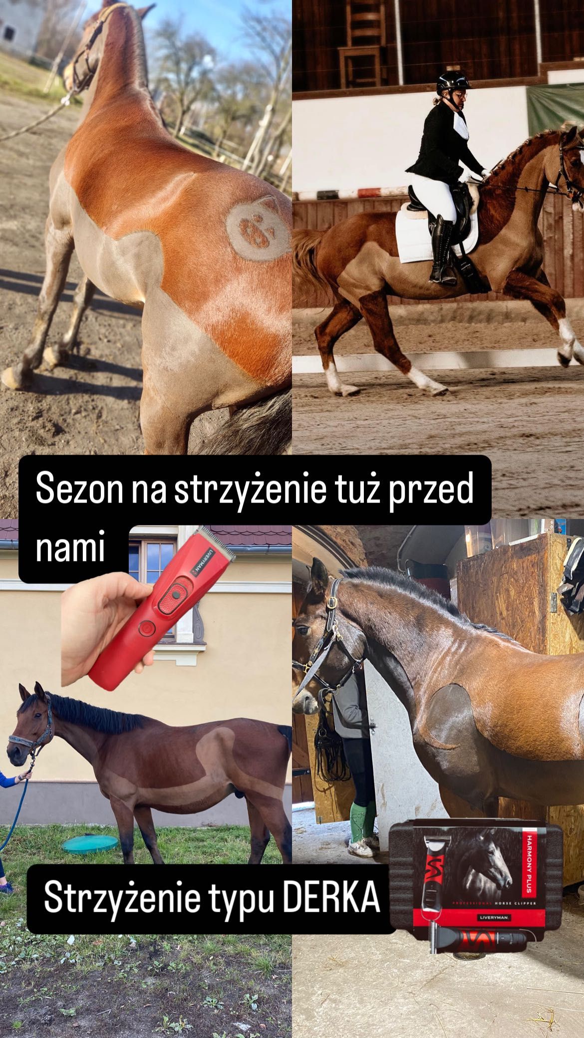 Maszynka do strzyżenia (golenia) koni Liveryman Harmony Plus