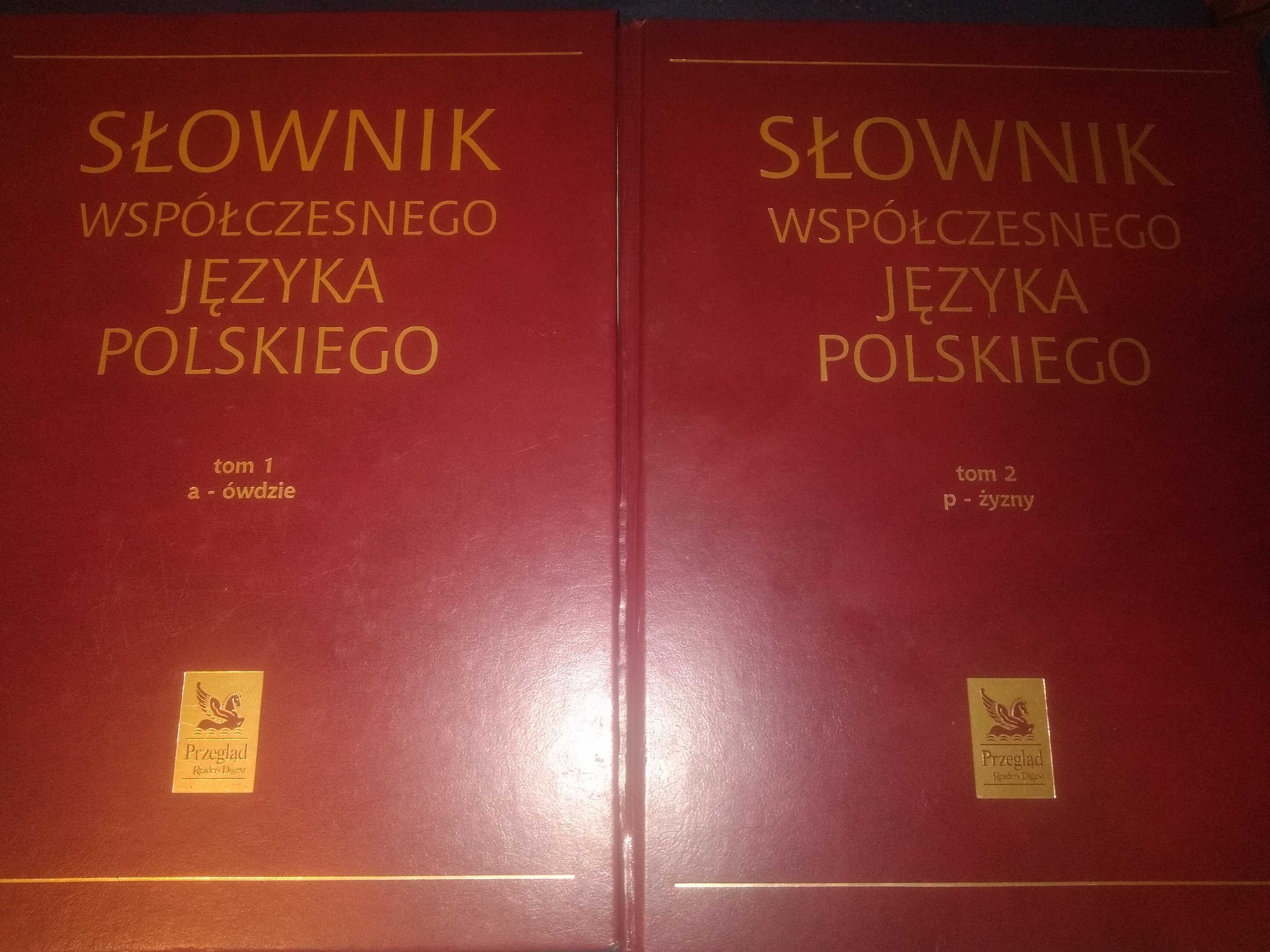 Słownik współczesnego języka polskiego 2 tomy