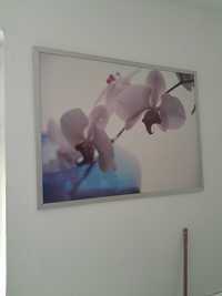 Obrazek duzy Orchidea Storczyk 120 x 90 cm