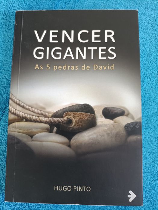 Livro Vencer gigantes