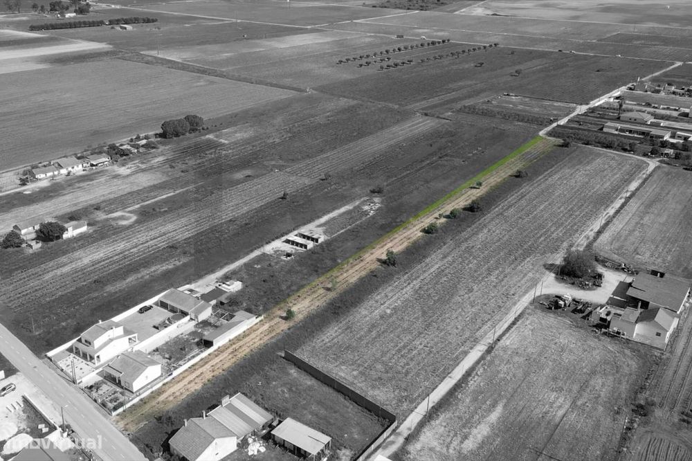 Terreno - Benfica do Ribatejo