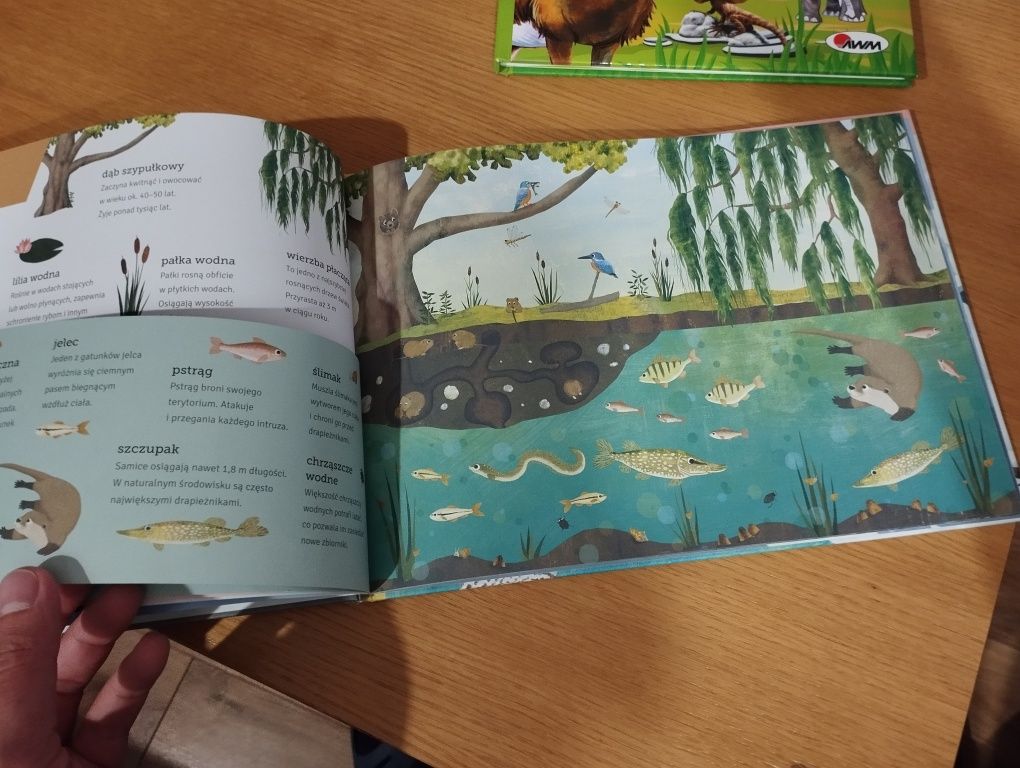 Zestaw 2 książek dla dzieci. Tematyka zwierząt