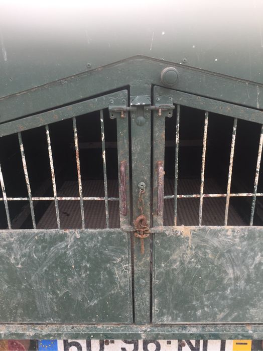 Atrelado para cães