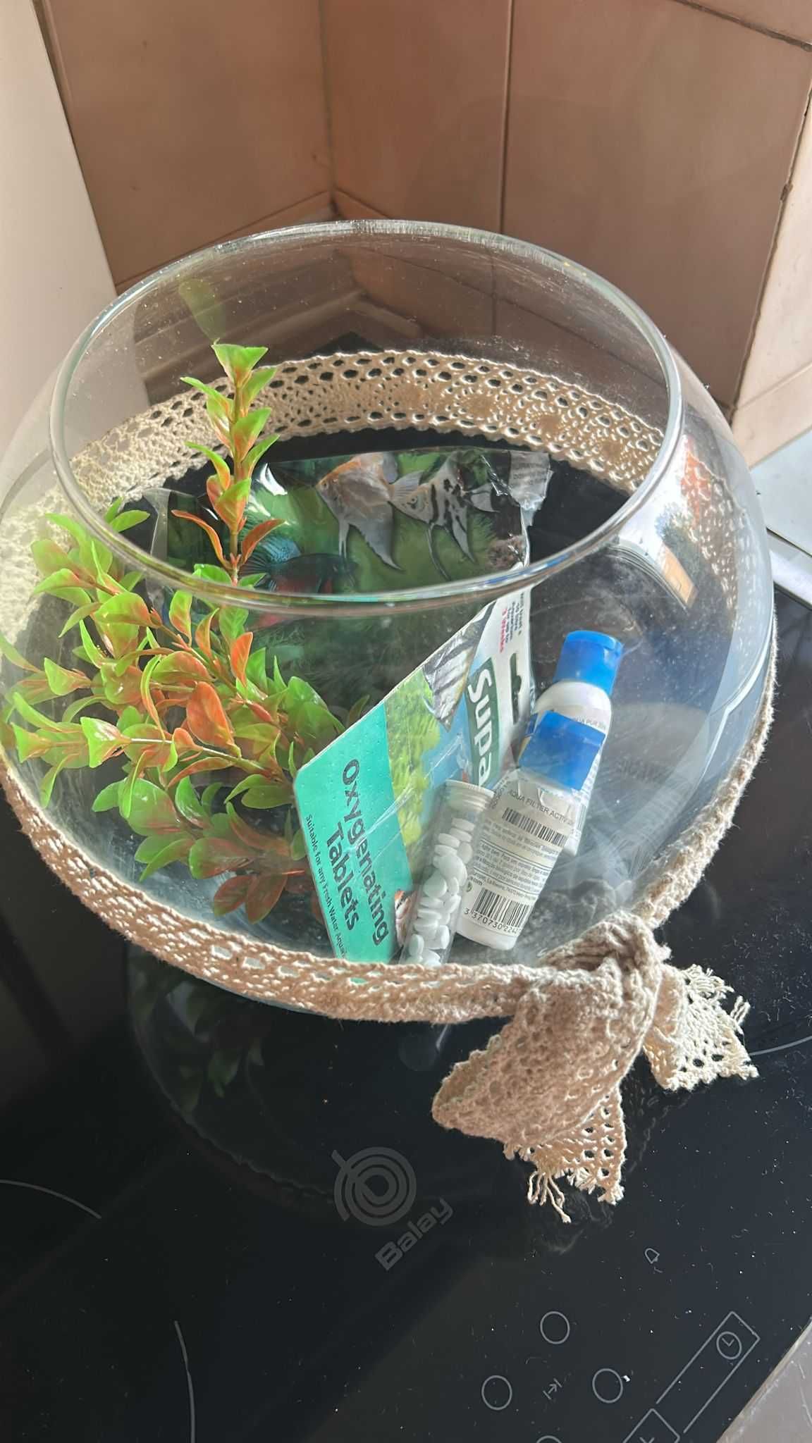 Aquario e acessórios