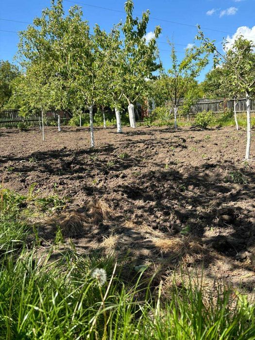 Біля будинку затишна бесідка, де  можна смажити шашлик .Лезнево.