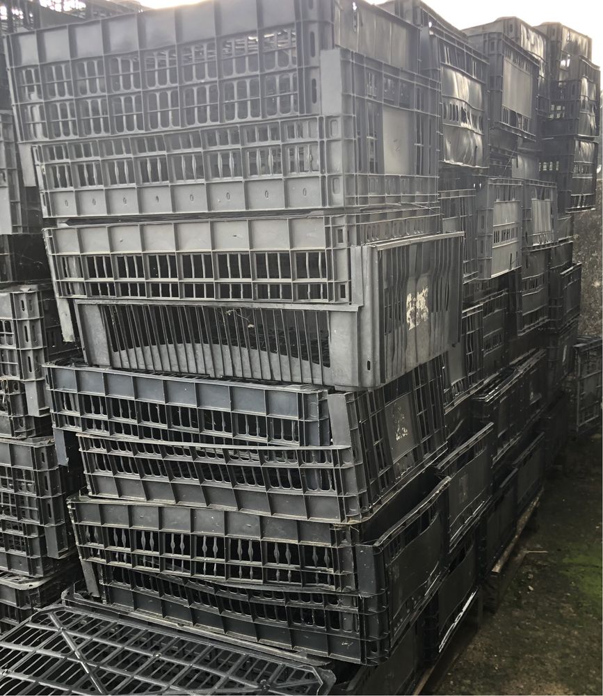 Caixas plastico alimentar