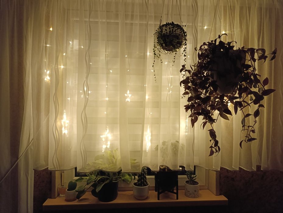 Kurtyna świetlna gwiazdki z timerem